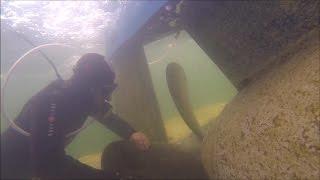 Research Submarine "Euronaut" - Cleaning the propeller shaft. Germany - september 2015