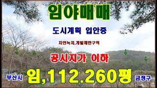 물번,700번) 도시관리계획 입안중 임야,112.260평 공시지가 보다 엄청싸게 매매합니다, 감정가38억원 공시지가,18억7.000만원 매매가,12억2.000만원 급매매합니다