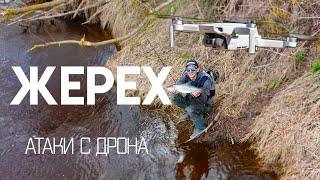 Жерех атакует с поверхности! Злые поклевки на спиннинг. Видео с дрона. Drone video asp attack.