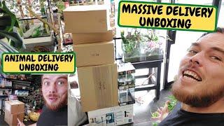 Animal Delivery Unboxing And Another Massive Delivery Unboxing (Snake Island Exotics)