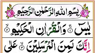 Surah Yaseen Full HD Colour Coded Arabic Text