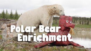 Ep 2 | Peak Wildlife Park Diaries | NEW TOY FOR THE BEARS