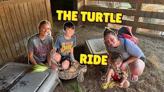 The Turtle Ride  | Epic Adventure at Morgan City Petting Zoo | Kids Fun Show #kids #fun #adventure