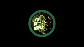 Ep. 82 - Let's be Budz