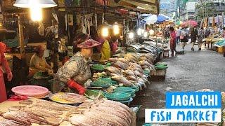 Fresh Fish Market in Busan, South Korea