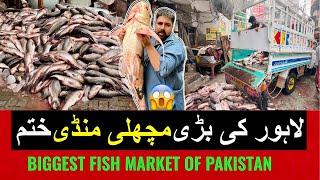 LAHORE KI SABSE BARI AUR SASTI FISH MARKET KHATAMLAKHO KA NUKSAN HOGYA MACHLI MANDI LAHORE 2024