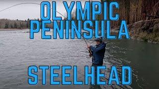 Spey Casting for (and catching) Wild Steelhead On The Olympic Peninsula