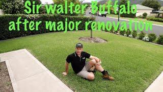 Sir Walter buffalo 4 months on from huge renovation