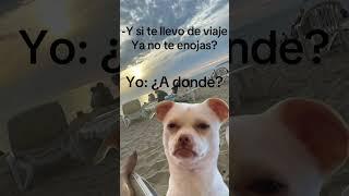 Pues a donde nos vamos?!?! #viaje #cancun #ViajeEnFamilia #viajeenpareja #humor #memes dog