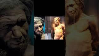 Brain Size of Early Humans