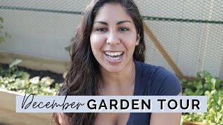 December Garden Tour | Mini Urban Farm