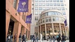 New York University - Niche