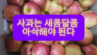 사과는 새콤달콤아삭해야 한다 주문문의 010 5013 3853