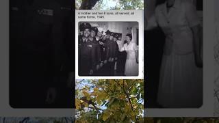 A Mother And Her 8 Sons , All served , All came home ,1945 #wholesome