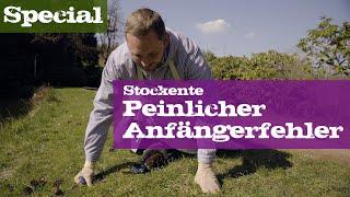 Stockente - Peinlicher Anfängerfehler