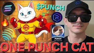 $PUNCH - ONE PUNCH CAT TOKEN CRYPTO COIN HOW TO BUY MEXC GLOBAL SOLANA SOL RAYDIUM JUPITER MEMECOIN