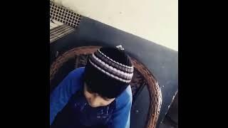 shoir jyan