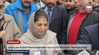 Jammu and Kashmir Govt should come clear on 370/ Resolution: Mehbooba Mufti