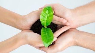 What Is Sustainable Living? | Green Living