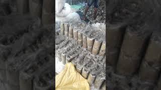 bay leaf tejpata 50 gm wholesalers dutta enterprises contact us 9647119539