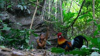 Survival in the Wild, Wild Chicken Hunting Skills, Searching for Wild Food, Survival alone