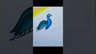 Peacock Drawing #shorts