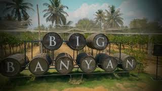 Big Banyan Vineyards