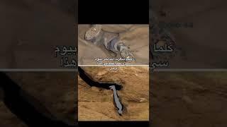 قناتي صدقة جارية لي ولكل من يتابعني #اللهم_صَلِّ_على_محمدٍ_وآلِ_محمد #اطمأن #توعيه 