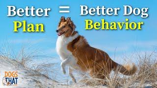 Forget Perfect In Dog Training! Better Starts With A Plan