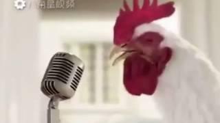 2017 Year Of The Rooster (Song By J.Geco) 