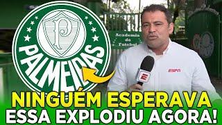 POR ESSA NINGUÉM ESPERAVA! VEJA A SURPRESA! ÚLTIMAS NOTICIAS DO PALMEIRAS