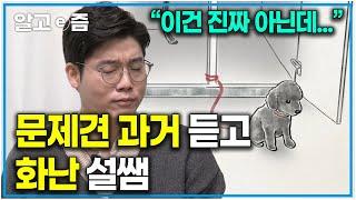 “부엌에 묶여있었다고…?” 반려견에게 못할 짓 한 전 보호자에게 화가 난 설쌤. 부엌에 묶어두고 산책을 한 번도 안 시킨 전 보호자｜세상에 나쁜 개는 없다｜알고e즘