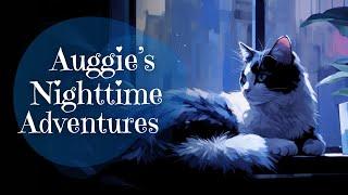 Auggie's Nighttime Adventures: A Cute Sleepy Story | Bedtime Story for Grown Ups