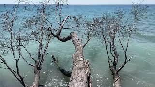 Presqu'ile Provincial Park, Brighton, Ontario Canada | Day Use Tour