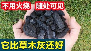 Charcoal/biochar for soil amendment, better than ash