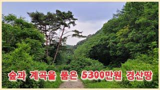 경산시 용성면 숲과 계곡을 품은 5300만원 경산땅 2920