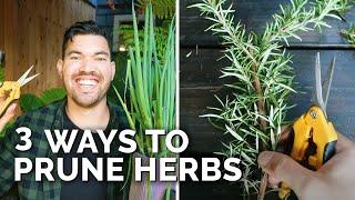 3 Methods for Pruning Herbs To Stimulate New Growth