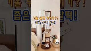 거울 뒤에 행거가 숨어있다고? 전신거울 행거 공간활용 미쳤네요! #살림꿀템 #전신거울 #공간활용