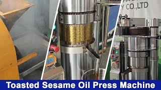 Oil Press Processing Machinery Manufacturers|Toasted Sesame Oil Production Line|Sesame Oil Press