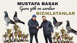 HAZİR KUS İSTEYENE                                               4 TANE ZİMBA  SAYİ MAKİNASİ