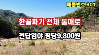 경북땅 시골땅 밭과 임야 10,069평, 한 골짜기 전체를 쓸 수 있는 골막장 땅 추천~