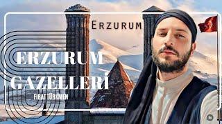 Erzurum Gazelleri (fırat Türkmen)