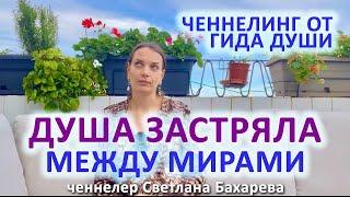 Душа застряла между мирами? Ченнелинг от гида души.