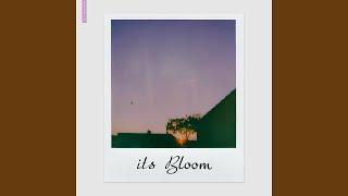 its Bloom