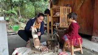 Afternoon cooking cassava for ducks on December 16, 2024