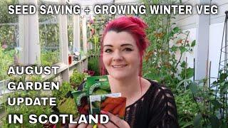 Growing Autumn and Winter Veg in Scotland / Mid August Garden Update / MoggyBoxCraft