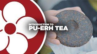 What is PU-ERH TEA?