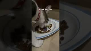 Krunch Munch