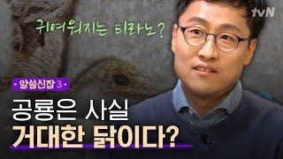 [#알쓸신잡3] 공포의 대상 티라노사우루스가 사실 깃털이 듬성듬성 있는 귀요미 공룡이다?