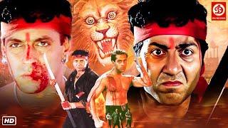 सनी देओल सलमान खान की धमाकेदार ब्लॉकबस्टर एक्शन हिंदी मूवीSunny Deol Vs Salman Khan New Action Movie